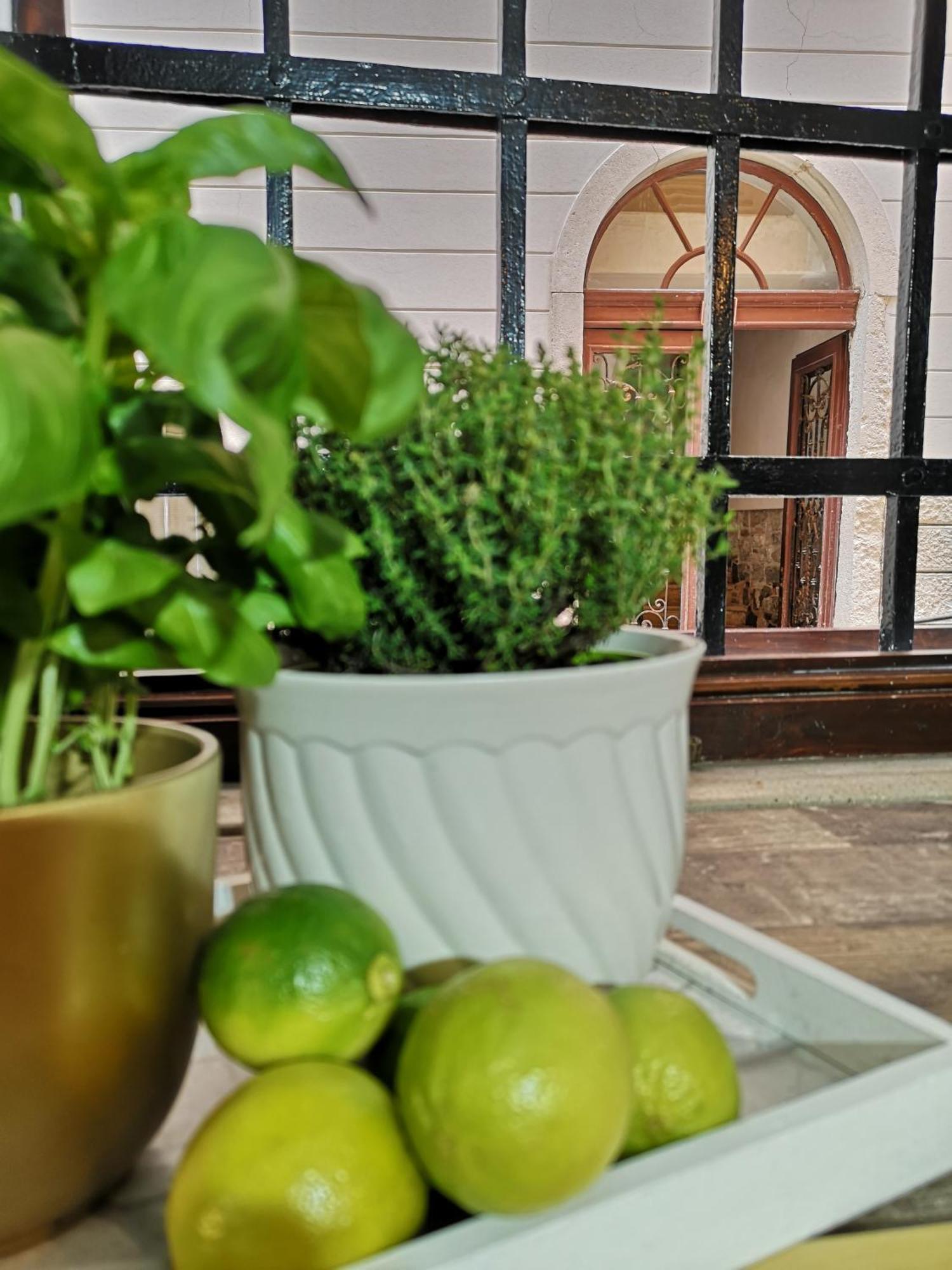 Apartament Apartmaji Mavita Piran Zewnętrze zdjęcie